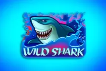 Wild Shark